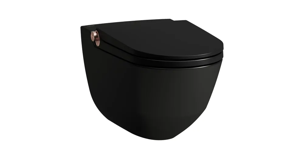 Kedvezményes ár LAUFEN CLEANET RIVA Bidés WC, rimless, fali, mélyöblítésű, perem nélküli,ülőkével Fekete H8206917190001