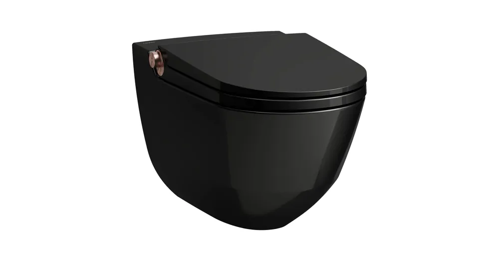 Legkelendőbb LAUFEN CLEANET RIVA Bidés WC, rimless, fali, mélyöblítésű, perem nélküli,ülőkével Fekete H8206910240001