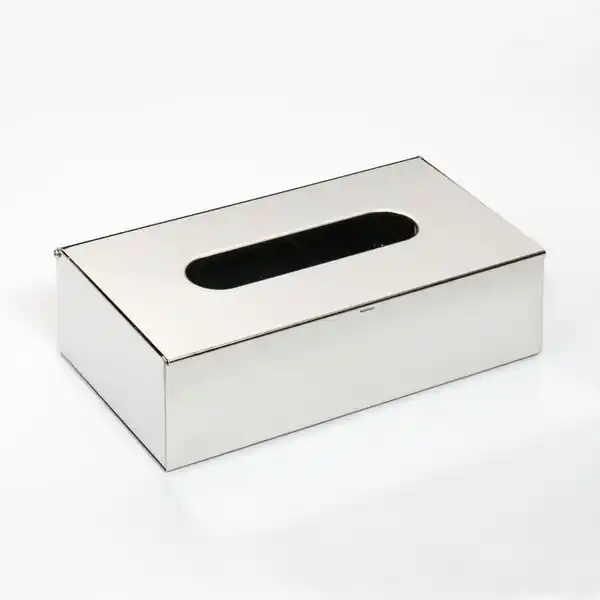 Különleges ajánlat Sapho HP Kleenex box papírzsepkendő tartó matt inox (102303025)Sapho