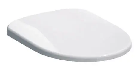 Vedd meg most Geberit Selnova WC-ülőke, gyorskioldós zsanérral, lecsapódásgátlóval 500.335.01.1Geberit