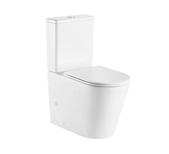 Expressz szállítás Wellis Clement perem nélküli monoblokkos wc WF00110Wellis