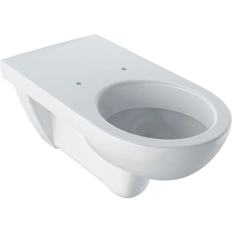 Geberit Selnova Comfort akadálymentes fali WC, fehér 501.044.00.7Geberit Csak ma